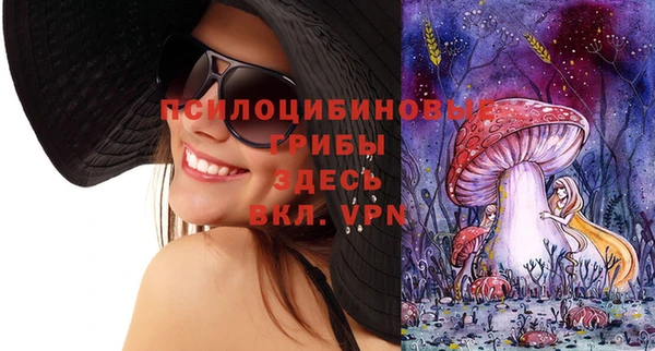 СК Нефтегорск