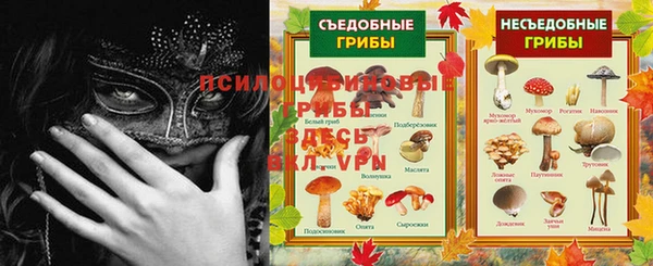 СК Нефтегорск