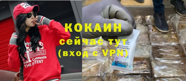шишки Нязепетровск
