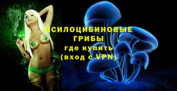 кокс Няндома